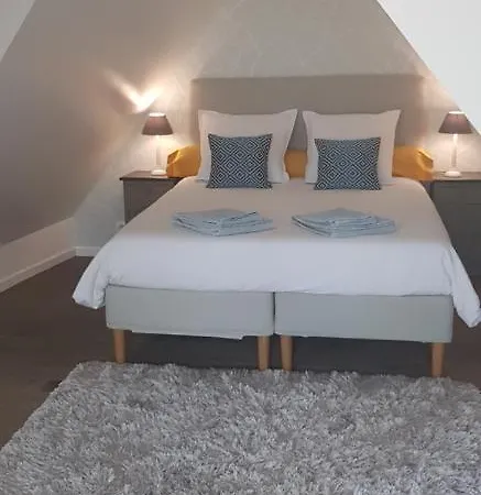 Le Nid De L'ill, Magnifique Duplex Cosy Petite France * Strasbourg