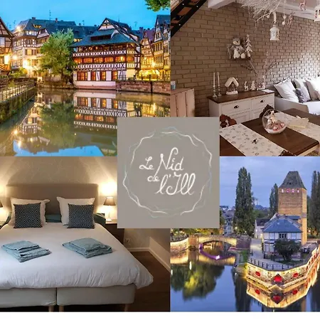 Le Nid De L'ill, Magnifique Duplex Cosy Petite France *