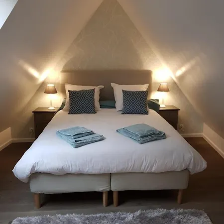 Apartment Le Nid De L'ill, Magnifique Duplex Cosy Petite France *