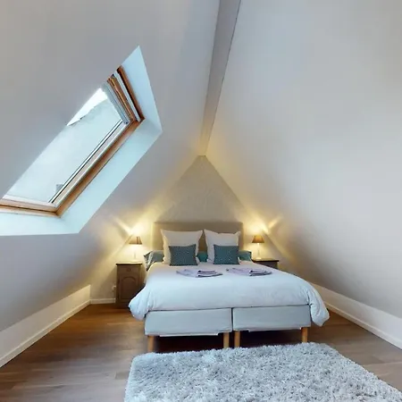 Apartment Le Nid De L'ill, Magnifique Duplex Cosy Petite France