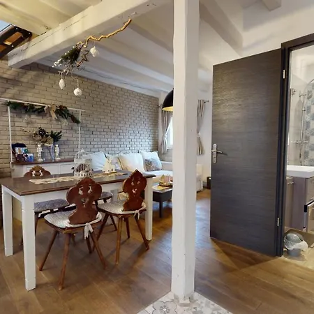 Le Nid De L'ill, Magnifique Duplex Cosy Petite France Strasbourg