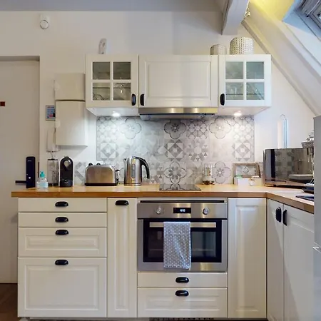 Apartment Le Nid De L'ill, Magnifique Duplex Cosy Petite France *