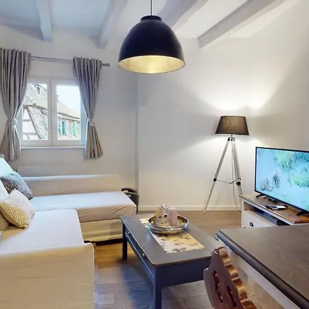 Le Nid De L'ill, Magnifique Duplex Cosy Petite France * Strasbourg