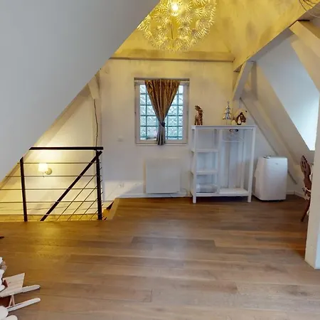 Le Nid De L'ill, Magnifique Duplex Cosy Petite France * Strasbourg