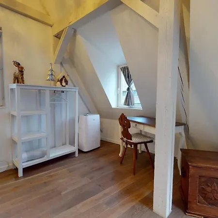 Apartment Le Nid De L'ill, Magnifique Duplex Cosy Petite France *