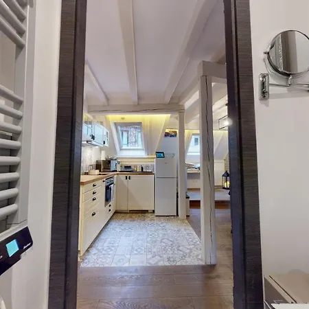 Apartment Le Nid De L'ill, Magnifique Duplex Cosy Petite France *