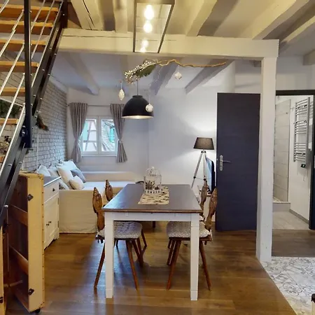 Le Nid De L'ill, Magnifique Duplex Cosy Petite France * Strasbourg