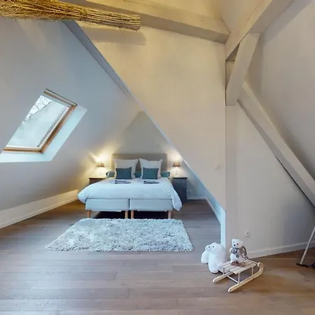 Le Nid De L'ill, Magnifique Duplex Cosy Petite France Apartment Strasbourg