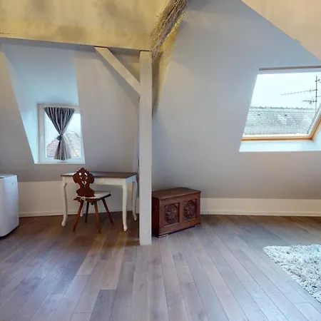 Le Nid De L'ill, Magnifique Duplex Cosy Petite France Apartment *