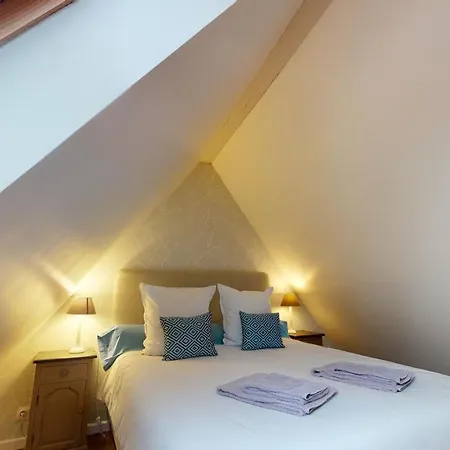 Le Nid De L'ill, Magnifique Duplex Cosy Petite France Apartment Strasbourg