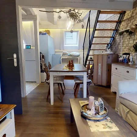 Le Nid De L'ill, Magnifique Duplex Cosy Petite France Apartment Strasbourg