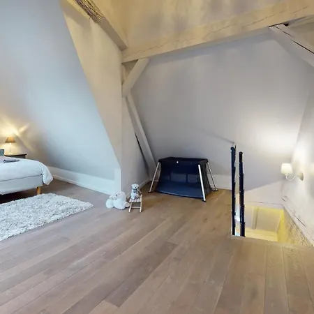 Le Nid De L'ill, Magnifique Duplex Cosy Petite France Apartment
