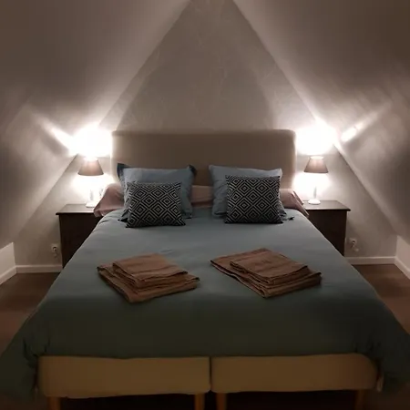 Le Nid De L'ill, Magnifique Duplex Cosy Petite France * Strasbourg