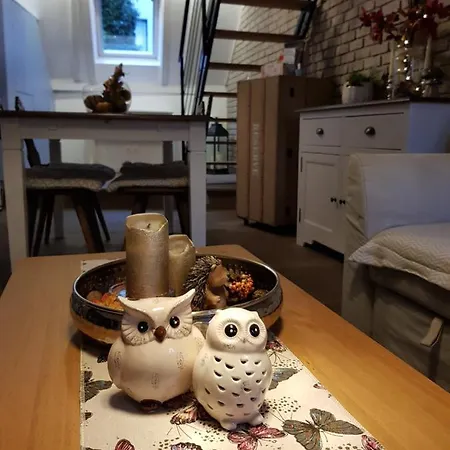 Le Nid De L'ill, Magnifique Duplex Cosy Petite France Apartment *