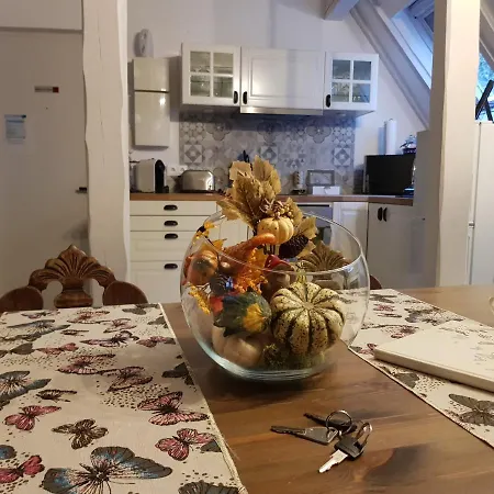 Le Nid De L'ill, Magnifique Duplex Cosy Petite France Strasbourg