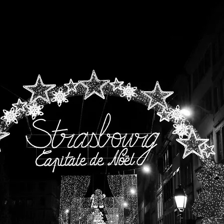 Le Nid De L'ill, Magnifique Duplex Cosy Petite France Strasbourg
