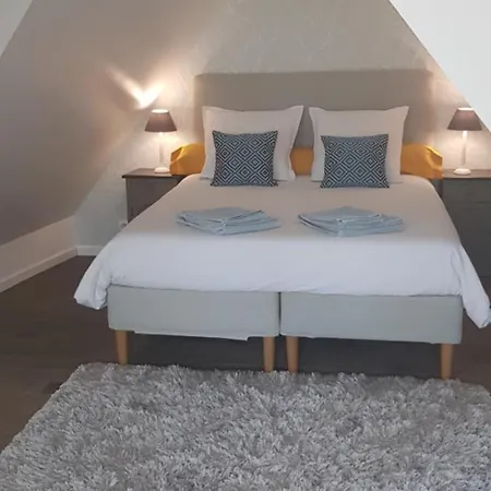 Le Nid De L'ill, Magnifique Duplex Cosy Petite France * Strasburg