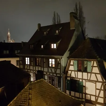 Le Nid De L'ill, Magnifique Duplex Cosy Petite France * Strasburg
