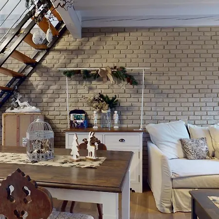 Apartamento Le Nid De L'ill, Magnifique Duplex Cosy Petite France *